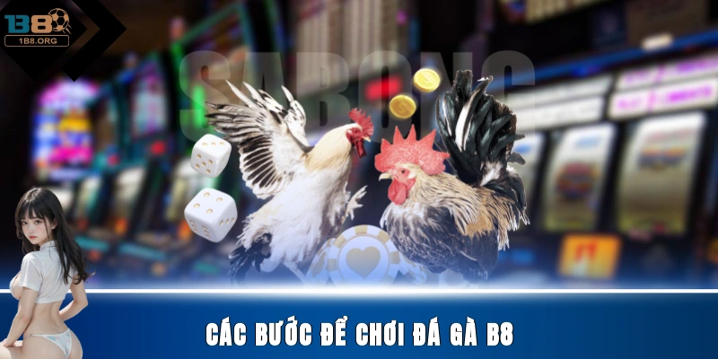 Các bước để chơi đá gà B8