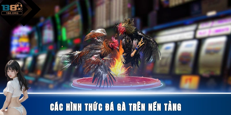 Các hình thức đá gà trên nền tảng