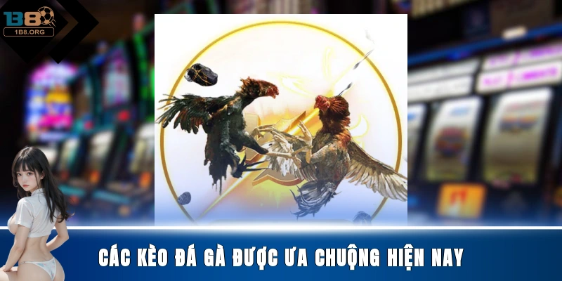 Các kèo đá gà được ưa chuộng hiện nay