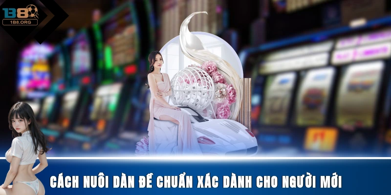Cách nuôi dàn đề chuẩn xác dành cho người mới