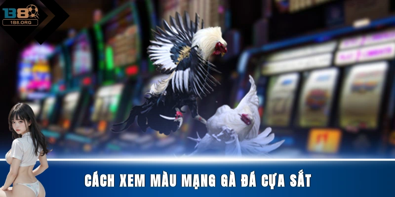 Cách xem màu mạng gà đá cựa sắt