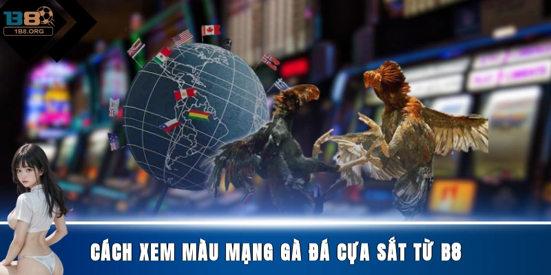 Cách xem màu mạng gà đá cựa sắt từ B8