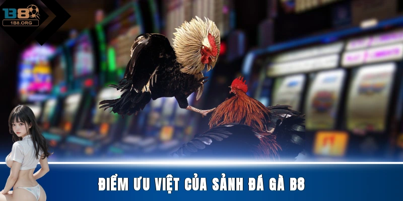 Điểm ưu việt của sảnh đá gà B8