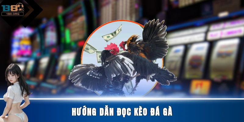 Hướng dẫn đọc kèo đá gà