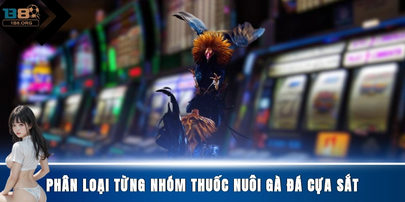 Phân loại từng nhóm thuốc nuôi gà đá cựa sắt