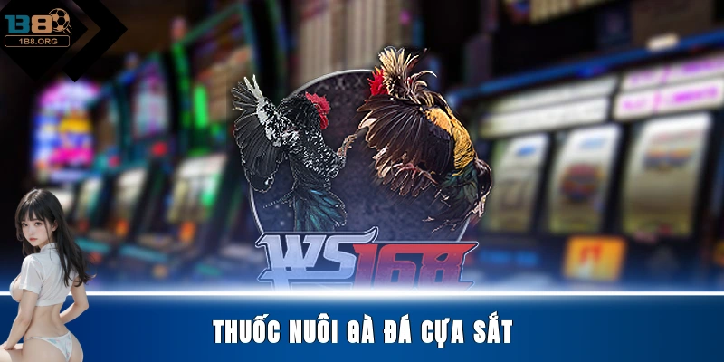 Thuốc nuôi gà đá cựa sắt